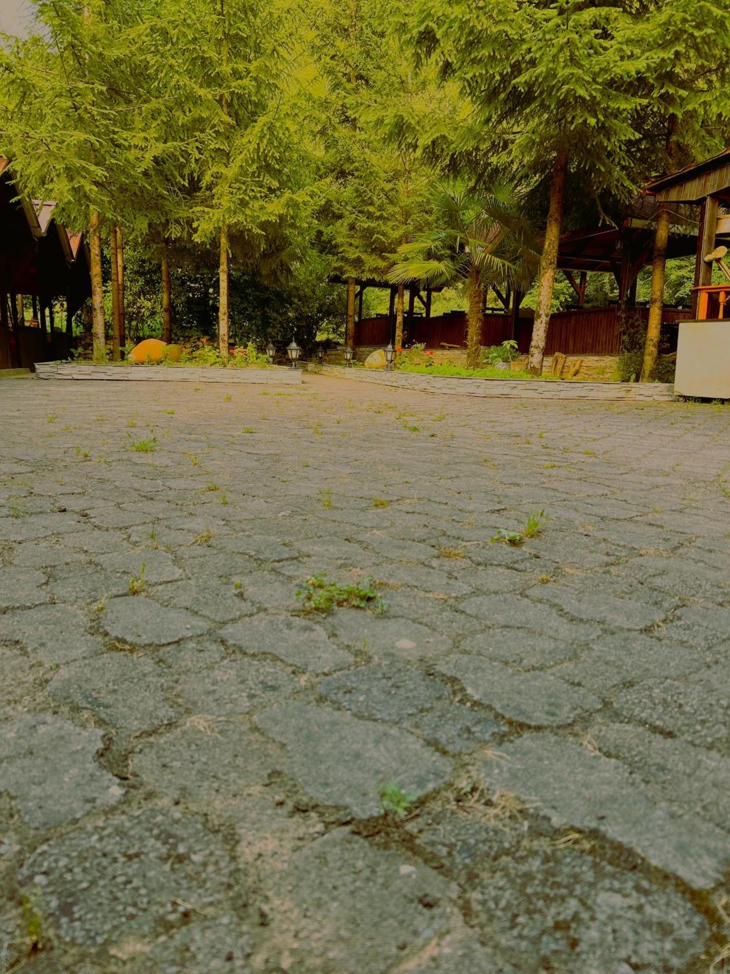 Isikli Kale Hotel Caykara ภายนอก รูปภาพ