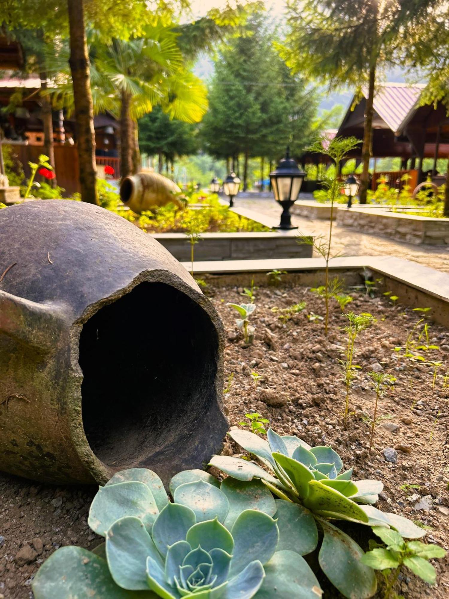 Isikli Kale Hotel Caykara ภายนอก รูปภาพ